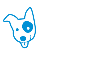 bluespot.au